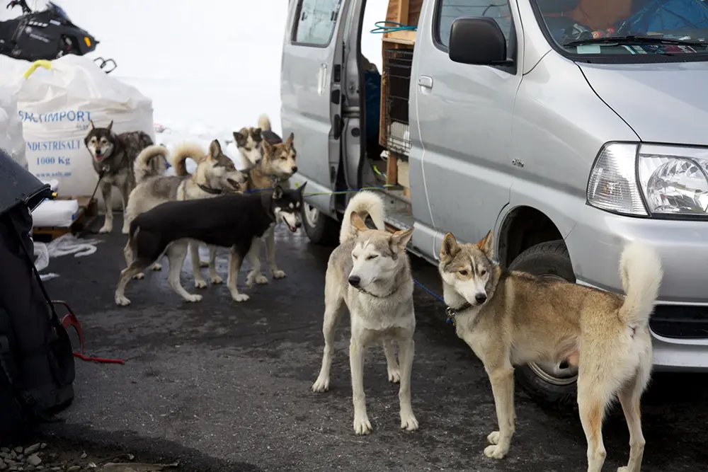 Filming in Norway’s Arctic regions with LoopFilm