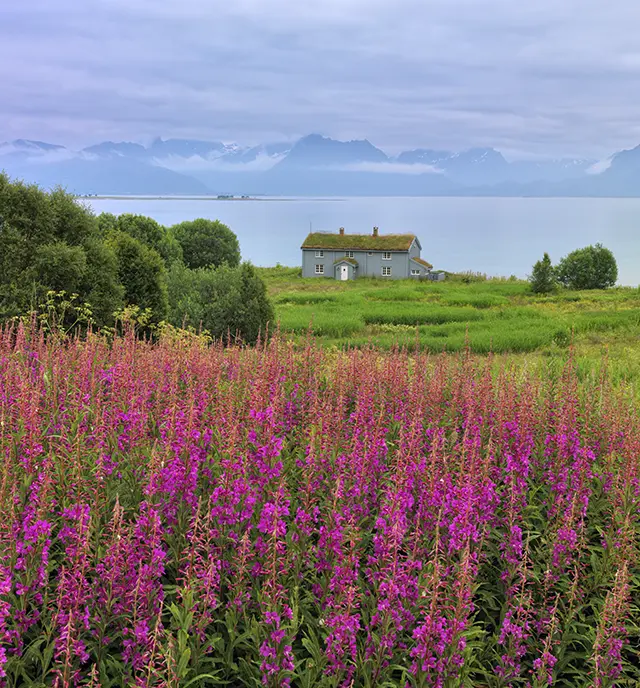 Effortless filming in Norway with LoopFilm’s help