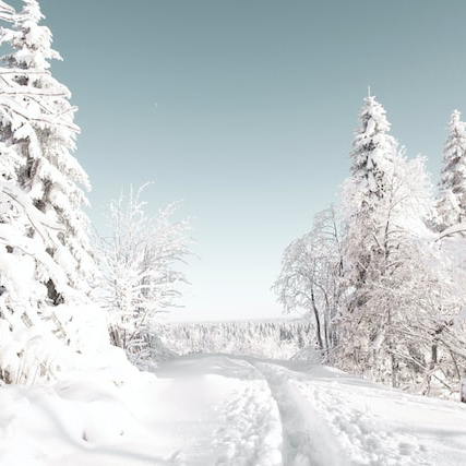 Snowy landscapes for a magical atmosphere